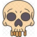 Human Skull Anatomy Icon