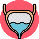 Human Bladder  Icon