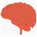 Brain Human Mind Icon