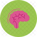 Mind Brain Thought Icon