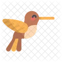 Humming Bird  Icon