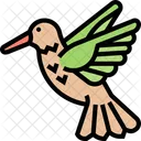 Hummingbird  Icon