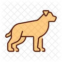 Hund Haustier Tier Symbol