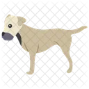 Hunderassen Hundearten Hund Symbol