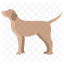 Hund  Symbol