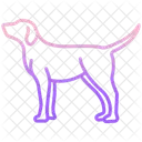 Hund  Symbol