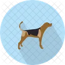 Hund  Symbol