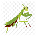 Praying Mantis Icons Cute Mantis Mantodea Icon