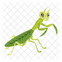 Praying Mantis Icons Cute Mantis Mantodea Icon