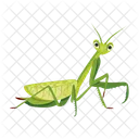 Praying Mantis Icons Cute Mantis Mantodea Icon