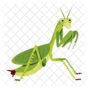 Hunter Mantis  Icon