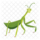 Praying Mantis Icons Cute Mantis Mantodea Icon