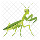 Praying Mantis Icons Cute Mantis Mantodea Icon