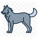 Husky Husky Siberiano Animal Icono