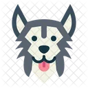 Husky siberiano  Icono