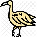 Ibis Bird Wildlife Icon