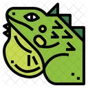 Iguana  Icon