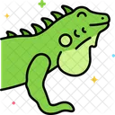 Iguana  Icon