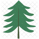 Arbol Pino Arbol Conifero Icono