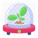 Incubator  Icon