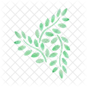 Indoor Plant Potted Plant Ornamental Plant Icon