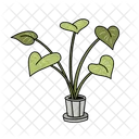 Indoor Plants For Decoration Available In Vector Icon