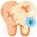 Dental Care Dentistry Dental Icon