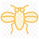 Insect Color Outline Icon 아이콘