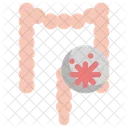 Cancer Intestine Organ Icon