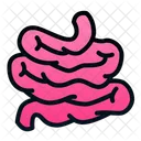 Intestine  Icon