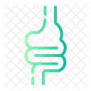 Intestine  Icon