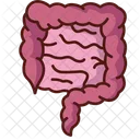 Intestines  Icon