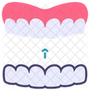 Orthodontics Invisalign Teeth Icon