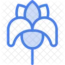 Iris Flowers Flower Icon