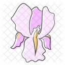 Flower Plant Nature Icon