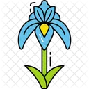 Iris Flower Icon