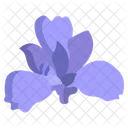 Iris Flower Flowers Icon