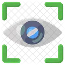 Iris Recognition Eye Recognition Eye Authentication Icon