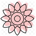 Islamic Rosette Color Shadow Thinline Icon 아이콘