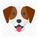 Jack Russell Terrier Pet Dog Dog Icon