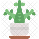 Jade Plant Pot Decoration Icon