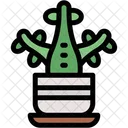 Jade Plant Pot Decoration Icon