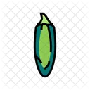 Jalapeno Pepper  Icon