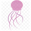 Jelly Fish  Icon