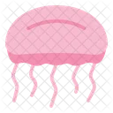 Jelly Fish  Icon