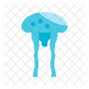 Jellyfish  Icon