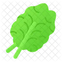 Kale Leaves Vegetable Icon