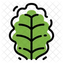 Kale Vegetable Vegetarian Icon