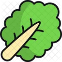 Kale Vegetable Veggie Icon