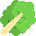 Kale Vegetable Veggie Icon